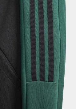 Adidas Sportswear J Hot Wwc Tt - Training Jacket - Collegiate Green/Black -Adidas Shop 2c7624b961864efd9a535a6fda1dae56