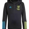 ADIDAS PERFORMANCE Arsenal Tiro 23 - Club Wear - Black 2 ADIDAS PERFORMANCE Arsenal Tiro 23 - Club Wear - Black -Adidas Shop 392e4c5fee8e41f8ac2f026d9cc56be7