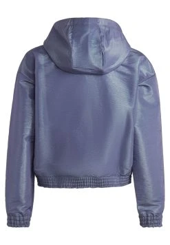 Adidas Sportswear G D Wv Hd Hlfzp - Sweatshirt - Violet Fusion Easy Green Silver Met. -Adidas Shop 5e976922f90c4a6c919de6ef4a59a030