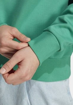 Adidas Sportswear M Fi Bos Hd - Hoodie - Semi Court Green -Adidas Shop 5ec006edc42e4a4daae1b28ace2ffc91