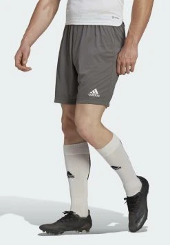 ADIDAS PERFORMANCE Entrada 22 - Sports Shorts - Grey