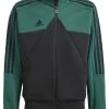 Adidas Sportswear J Hot Wwc Tt - Training Jacket - Collegiate Green/Black -Adidas Shop 91108c03ebed42079b7044f09878ced6