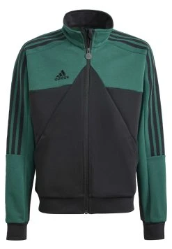 Adidas Sportswear J Hot Wwc Tt - Training Jacket - Collegiate Green/Black