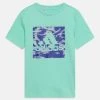 Adidas Sportswear Unisex - Print T-Shirt - Easy Green -Adidas Shop 98be0533d07a4ce3bd147631da310e1e