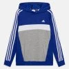 ADIDAS PERFORMANCE Unisex - Hoodie - Semi Lucid Blue/White/Medium Grey Heather -Adidas Shop 9cba3a733f2c42f4b6d9155ac947a8a9