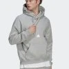Adidas Sportswear New Hoodie - Hoodie - Grey