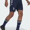 ADIDAS PERFORMANCE Juventus Turin Eu Trainings Short - Sports Shorts - Blue 1 ADIDAS PERFORMANCE Juventus Turin Eu Trainings Short - Sports Shorts - Blue -Adidas Shop fe2ccbb8cb0241bbb570dd3b70d75334