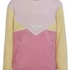 Adidas Originals Hoodie - Clear Pink Almost Yellow Bliss Pink -Adidas Shop ffa2b30c23274ee1a2bb6d32b2c1ceca